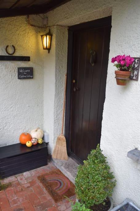 Cedra Cottage - Vintage Country Hideaway Axminster Bagian luar foto