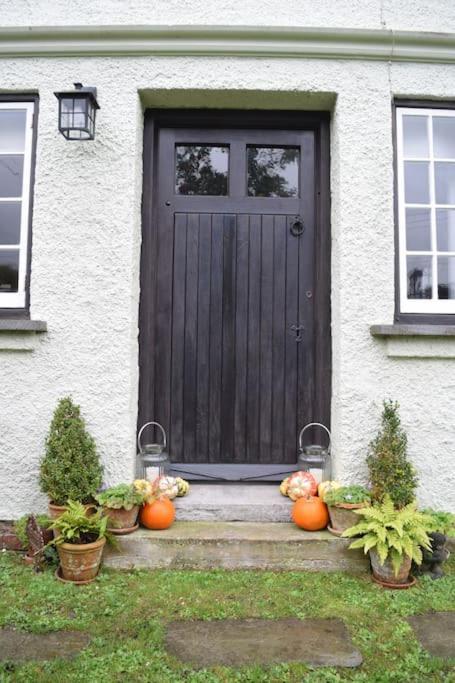 Cedra Cottage - Vintage Country Hideaway Axminster Bagian luar foto