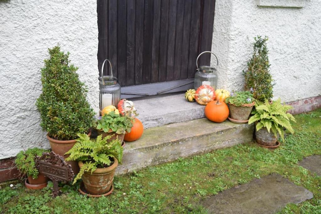 Cedra Cottage - Vintage Country Hideaway Axminster Bagian luar foto