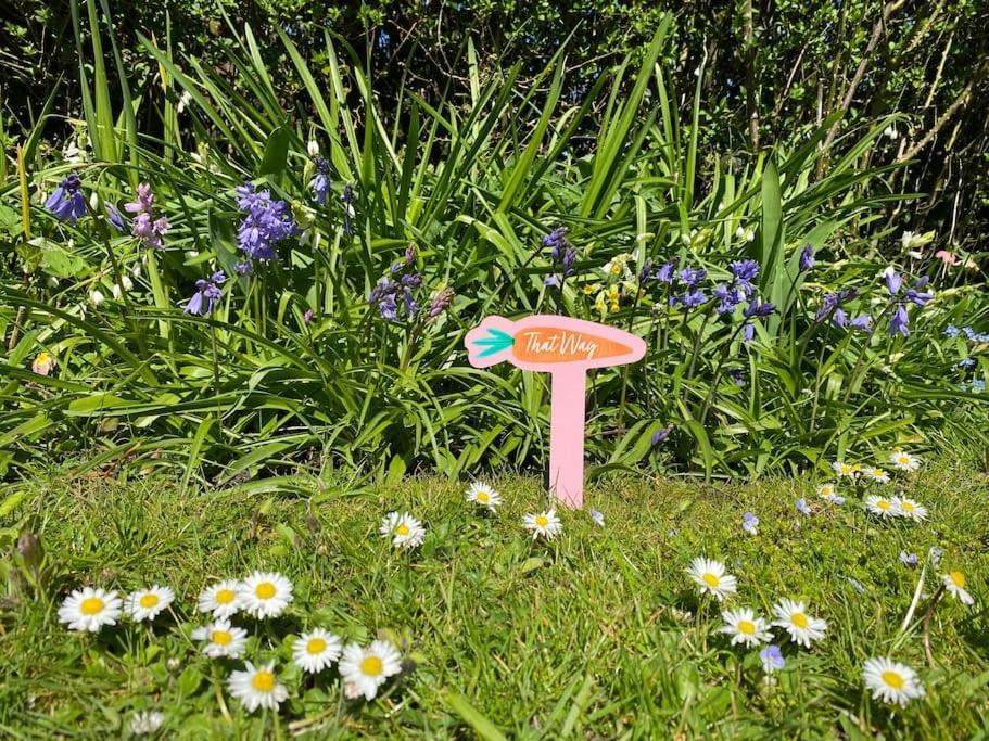 Cedra Cottage - Vintage Country Hideaway Axminster Bagian luar foto